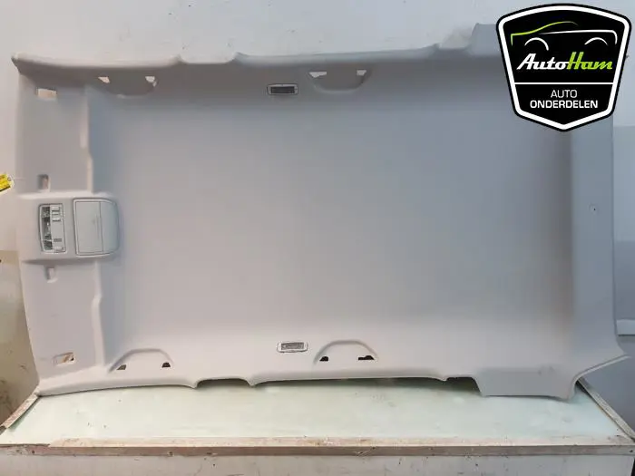 Hemelbekleding Skoda Fabia