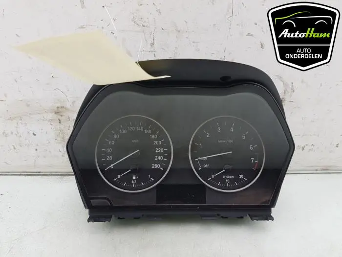 Instrumentenpaneel BMW X1