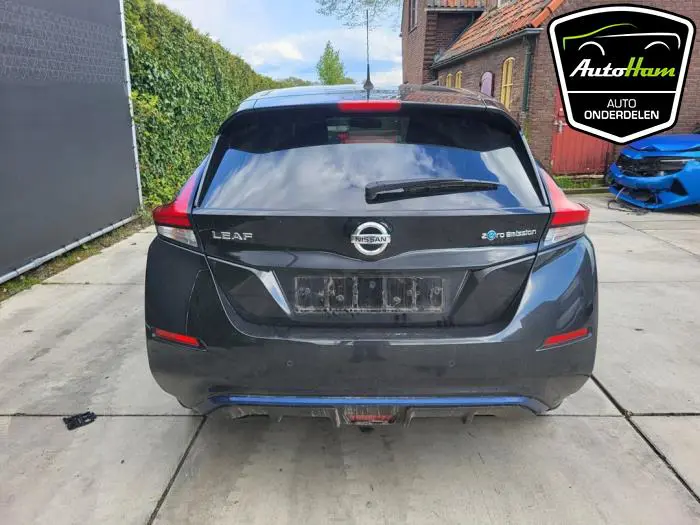 Achterklep Nissan Leaf