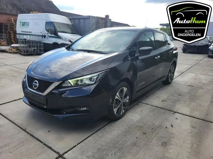 Scherm links-voor Nissan Leaf