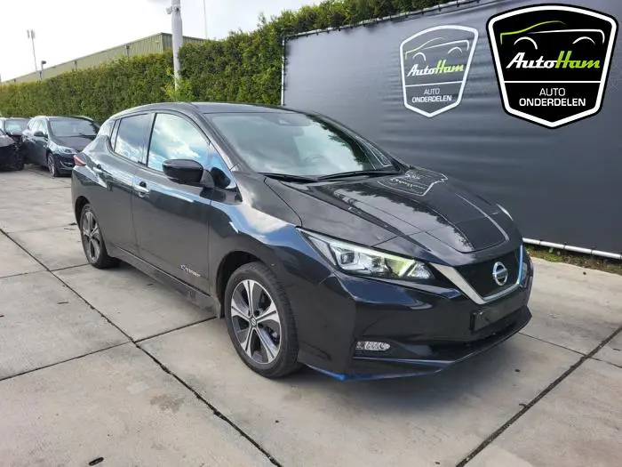Scherm rechts-voor Nissan Leaf