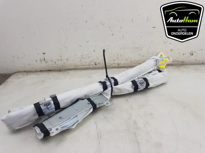 Airbag hemel links Nissan Leaf