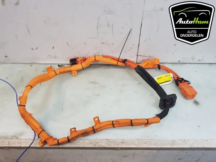 HV kabel (hoog voltage) BMW X5
