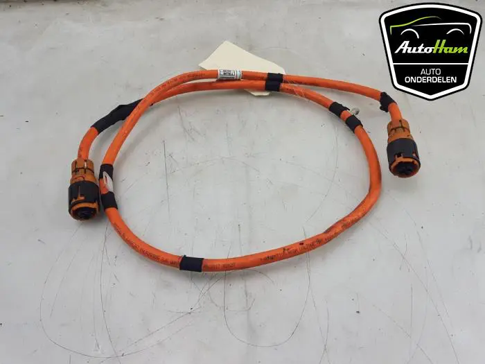 HV kabel (hoog voltage) BMW X5