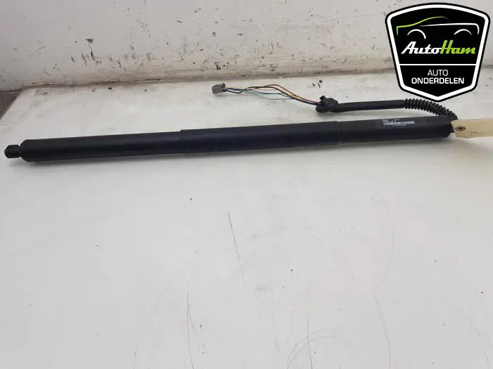 Achterklep motor Tesla Model S