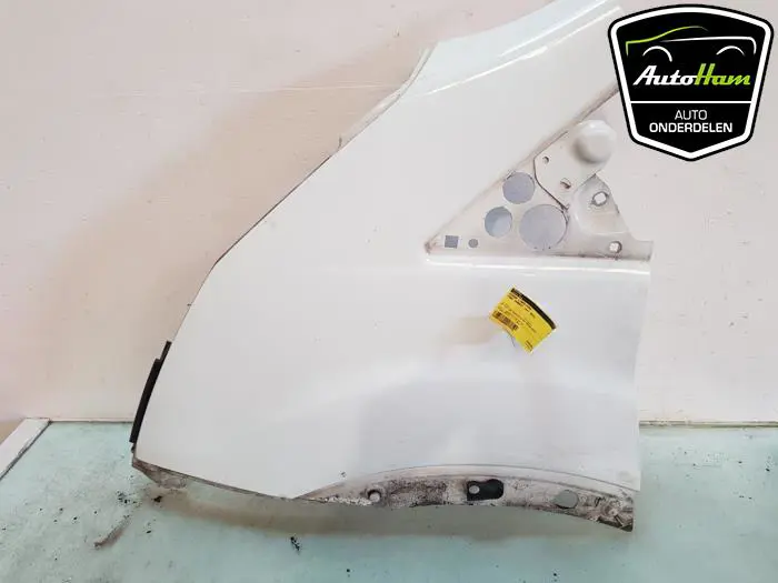 Scherm links-voor Ford Transit