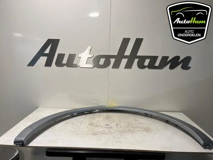 Wielrand achter Porsche Cayenne