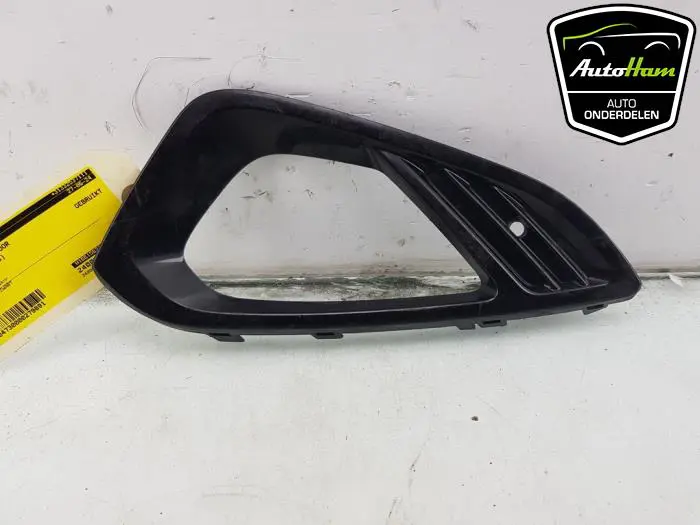 Bumperdeel links-voor Ford Fiesta