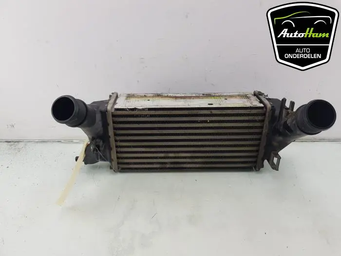 Intercooler Ford Fiesta