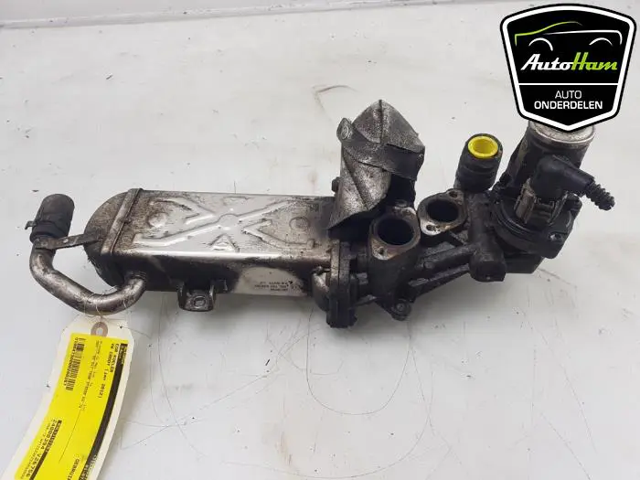 EGR koeler Volkswagen Caddy
