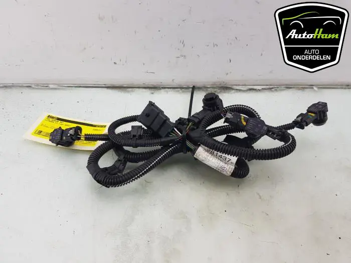 PDC Sensor Set Citroen C3