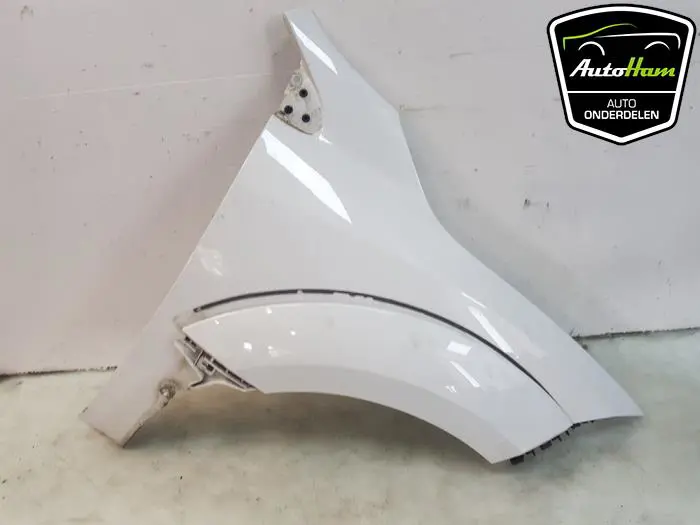 Scherm rechts-voor Renault Megane