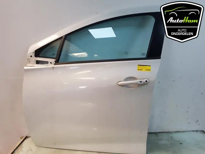 Portier 4Deurs links-voor Renault ZOE