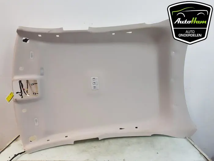 Hemelbekleding Renault Arkana