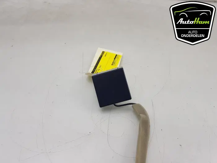 Antenne (diversen) Renault Arkana