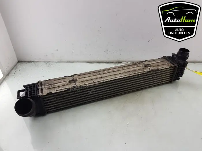 Intercooler Renault Megane