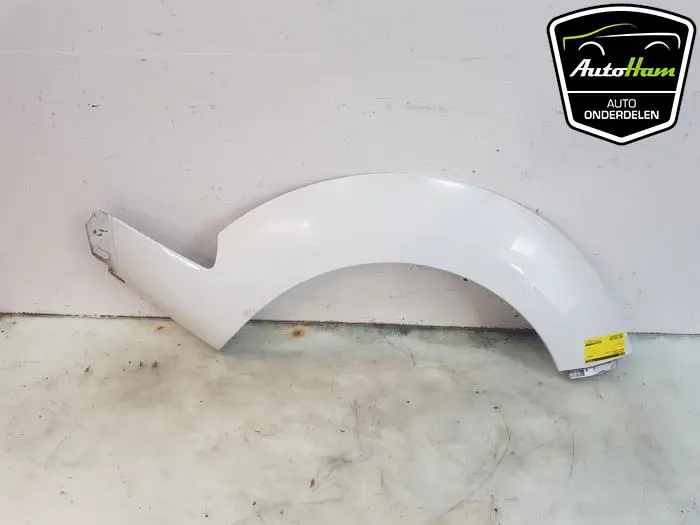 Wielrand achter Renault Megane
