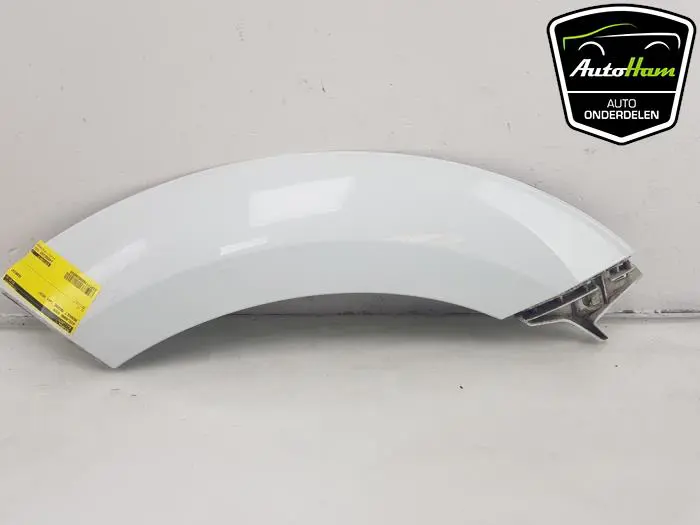 Wielrand voor Renault Megane