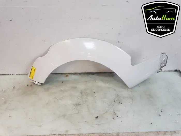 Wielrand achter Renault Megane