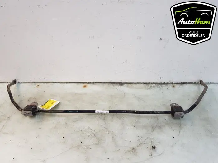 Stabilisatorstang achter Tesla Model 3
