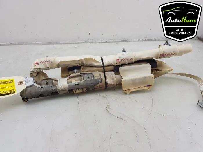 Airbag hemel links Renault Clio