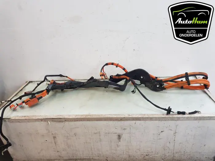 HV kabel (hoog voltage) Peugeot 308