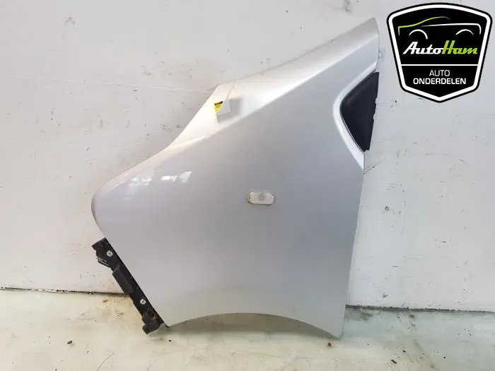 Scherm links-voor Renault Trafic