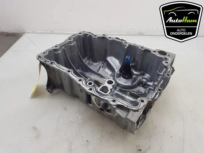 Carterpan Seat Ibiza
