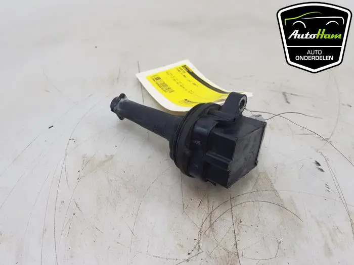 Bobine Ford S-Max