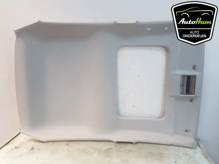 Hemelbekleding Volkswagen UP
