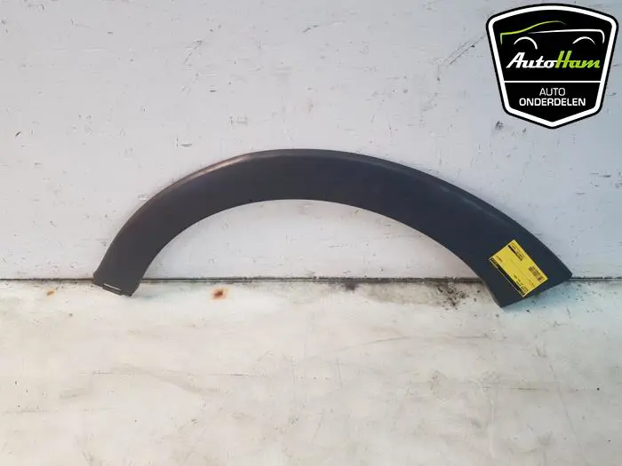 Wielrand achter Peugeot 207