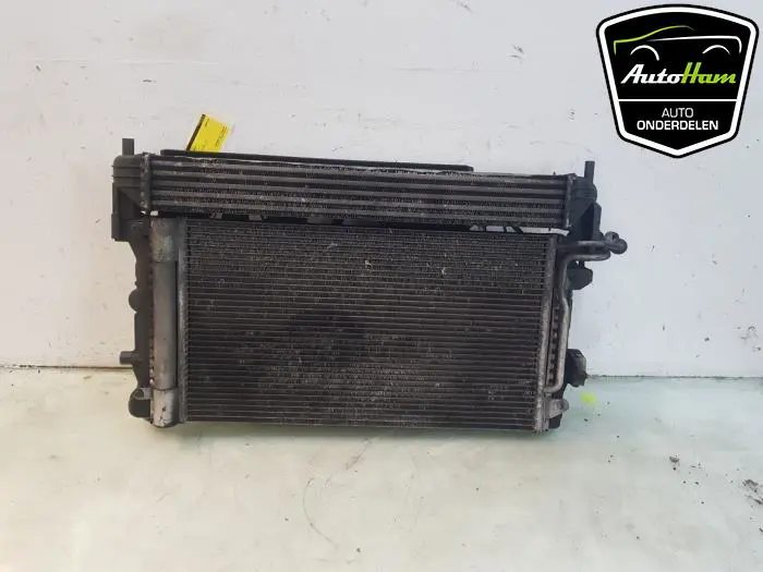 Koelerset Seat Ibiza