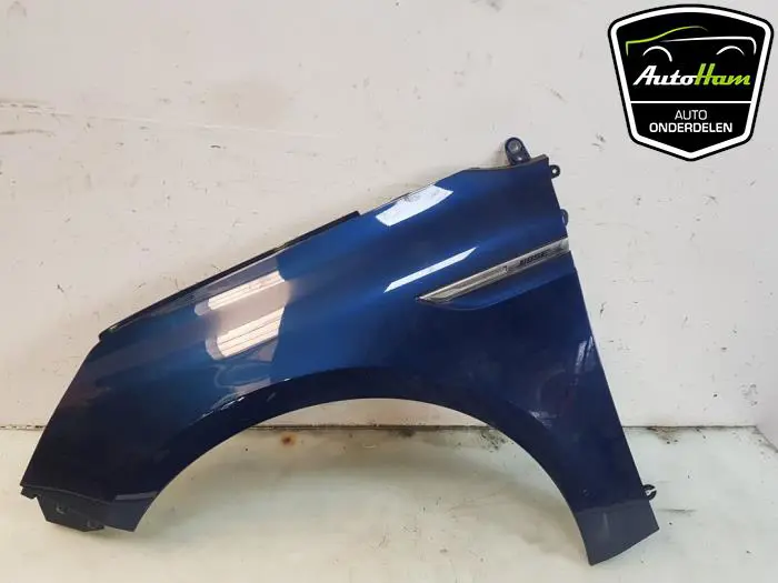 Scherm links-voor Renault Megane