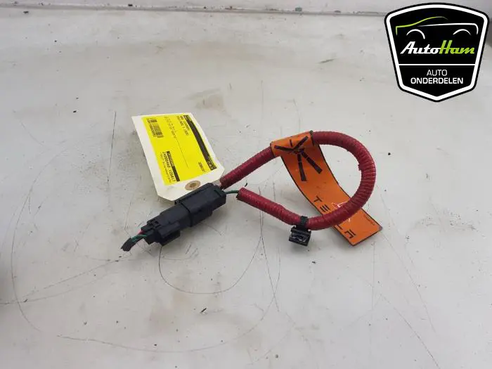 Kabel (diversen) Tesla Model S
