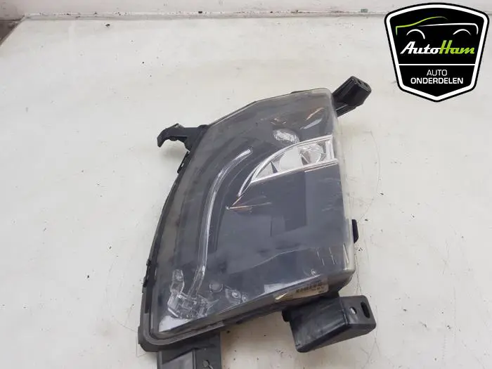 Dagrijverlichting links Tesla Model S
