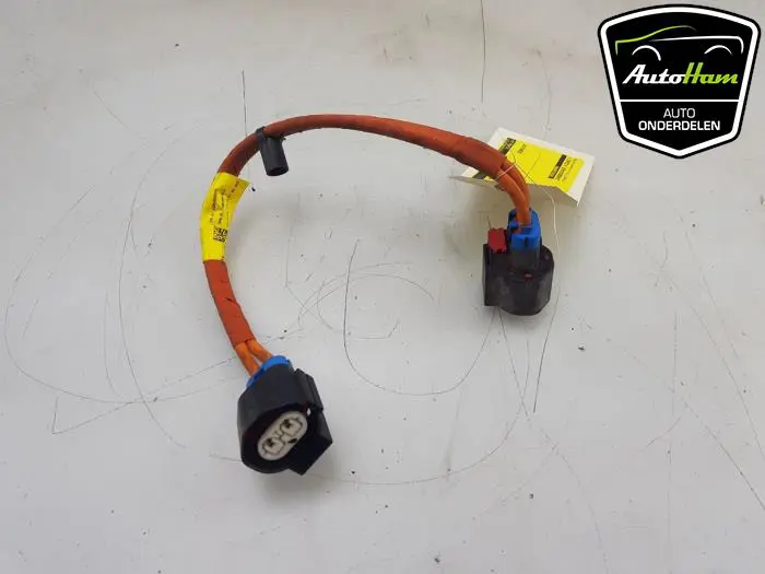 HV kabel (hoog voltage) Tesla Model S