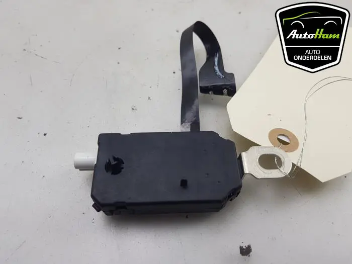 Antenne Versterker Tesla Model 3