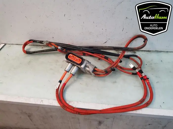 HV kabel (hoog voltage) Tesla Model S