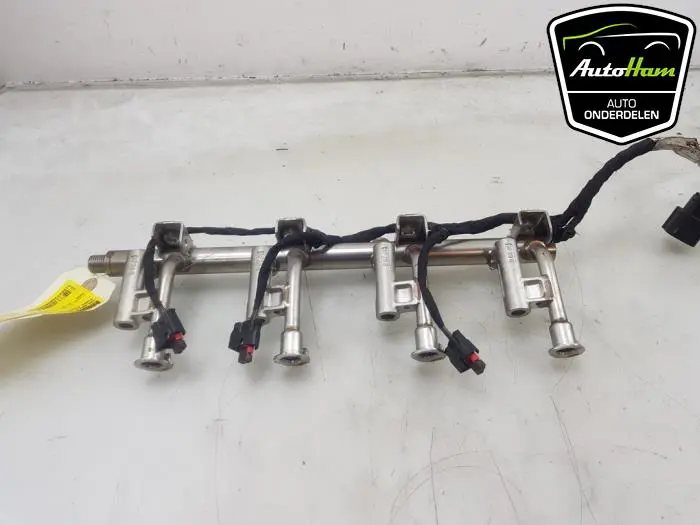 Galerij (Injectie) Ford Focus