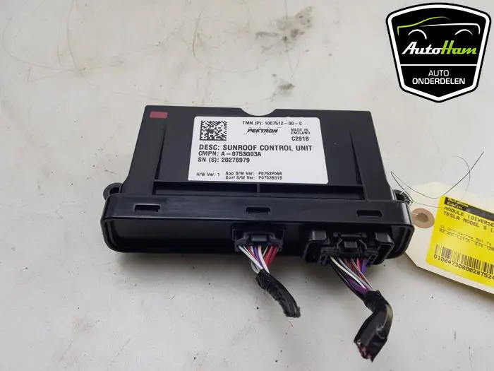 Module (diversen) Tesla Model S