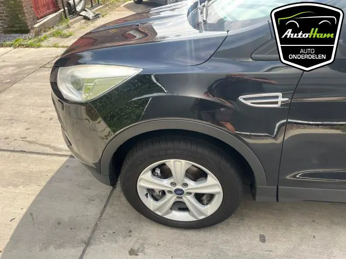 Scherm links-voor Ford Kuga