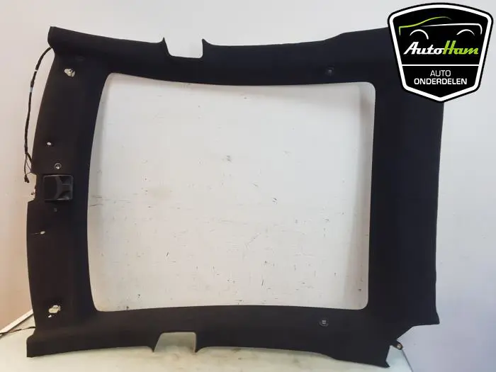 Hemelbekleding Tesla Model S