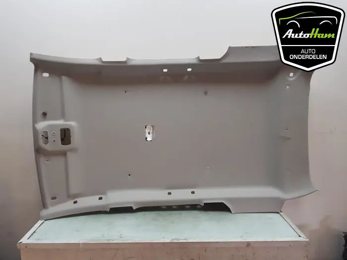 Hemelbekleding Dacia Duster