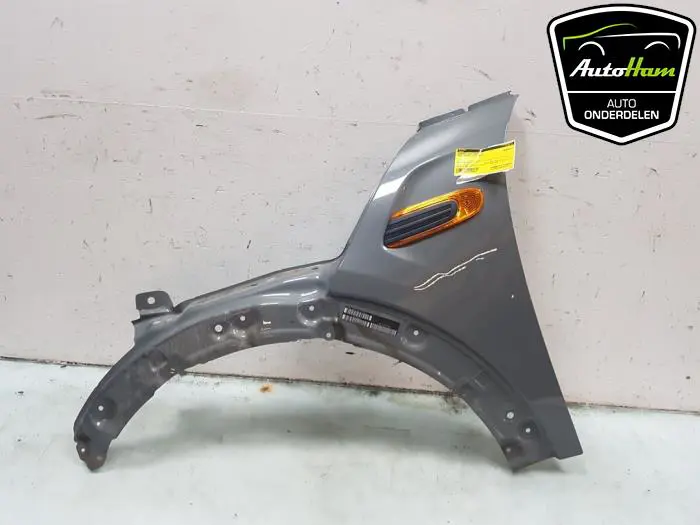 Scherm links-voor Mini Cooper