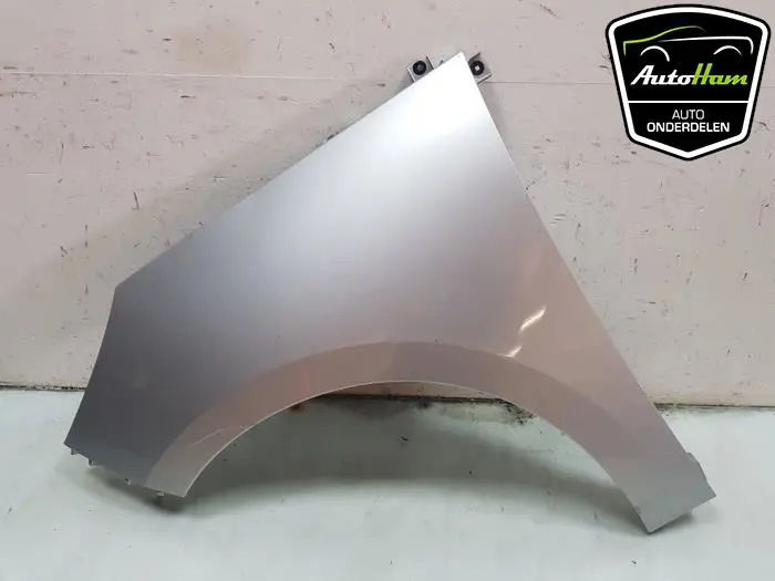 Scherm links-voor Renault Scenic