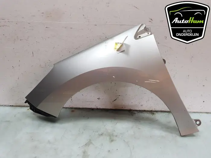 Scherm links-voor Peugeot 308