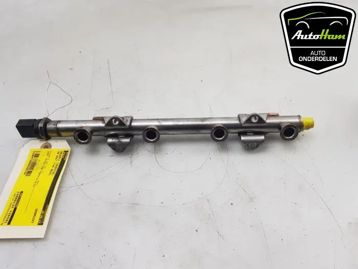 Galerij (Injectie) Volkswagen Golf