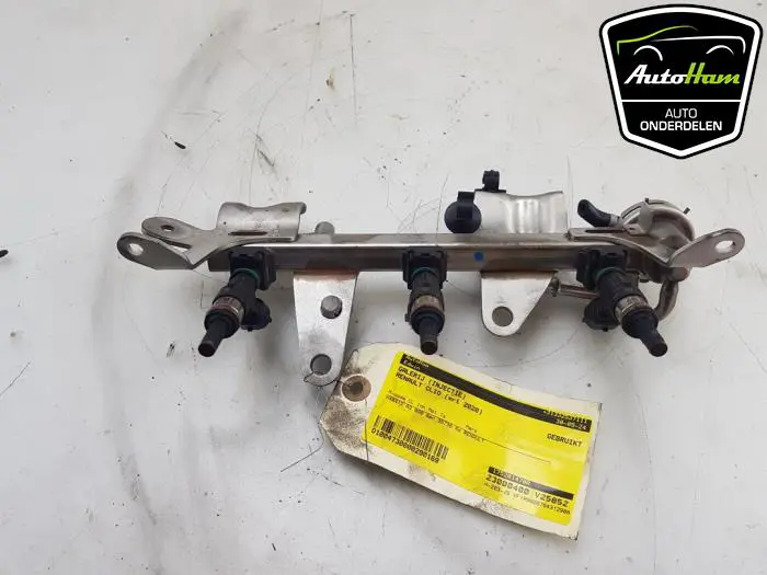 Galerij (Injectie) Renault Clio