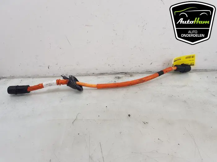 HV kabel (hoog voltage) Mercedes C-Klasse