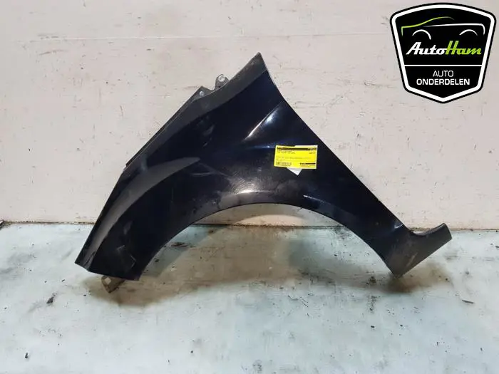 Scherm links-voor Ford Fiesta